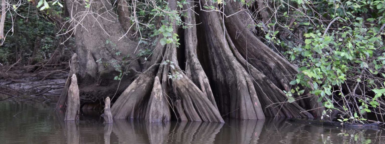 Contact Matthews Landing Stockton Alabama